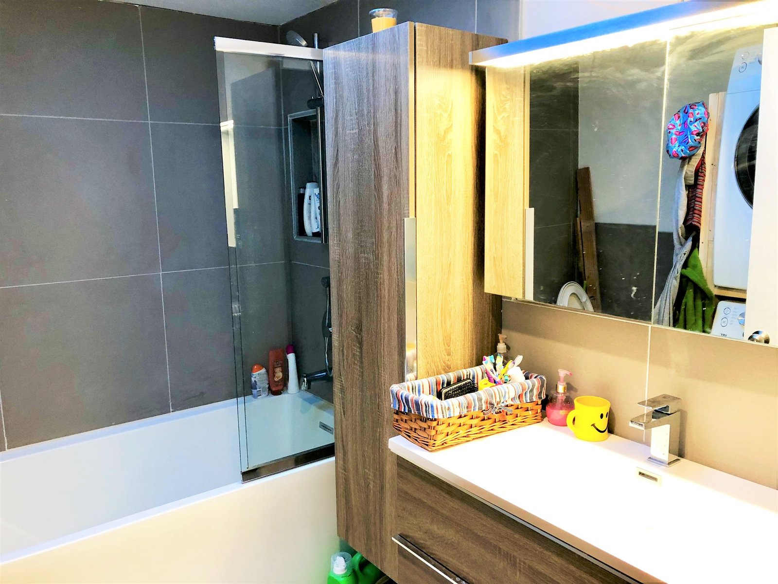 Appartement à louer – Rosemont (Montréal)